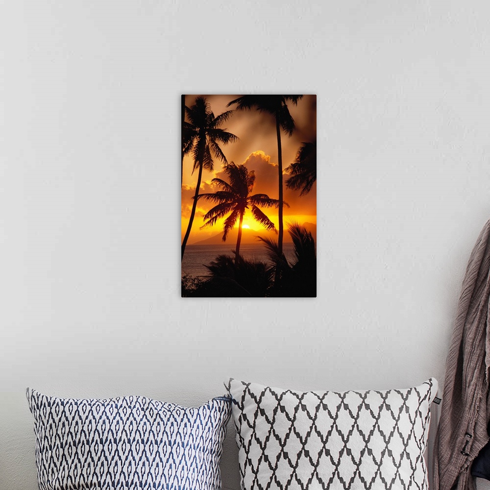 A bohemian room featuring French Polynesia, Tahiti, Palm Trees Silhouetted By A Vibrant Sunset