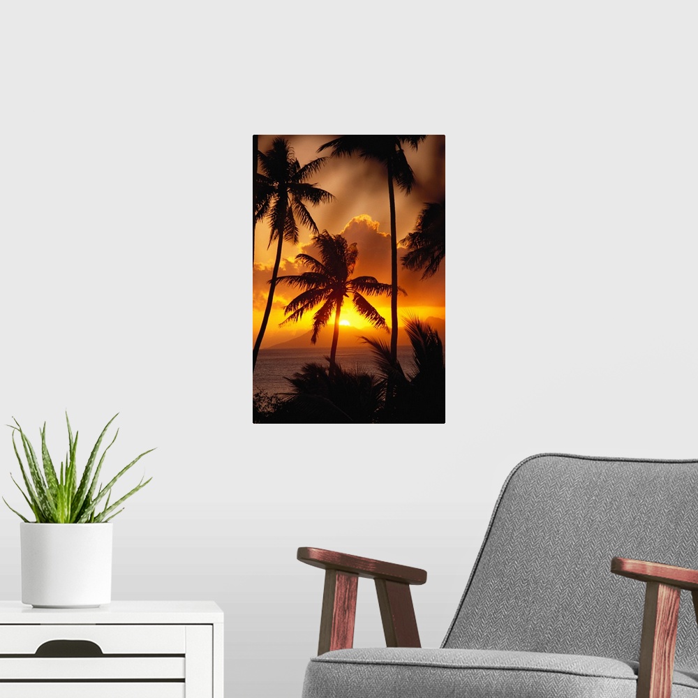 A modern room featuring French Polynesia, Tahiti, Palm Trees Silhouetted By A Vibrant Sunset