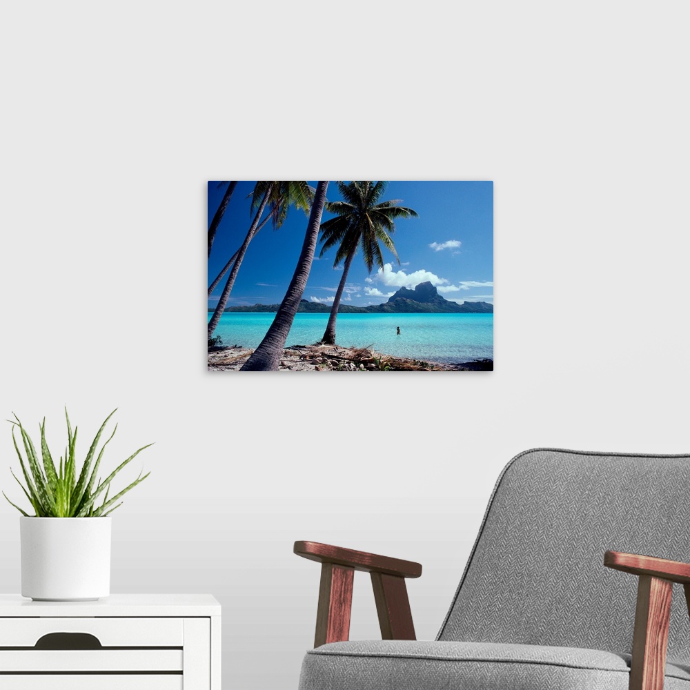 A modern room featuring French Polynesia, Tahitian Coast Scene, Lovely Woman In Water