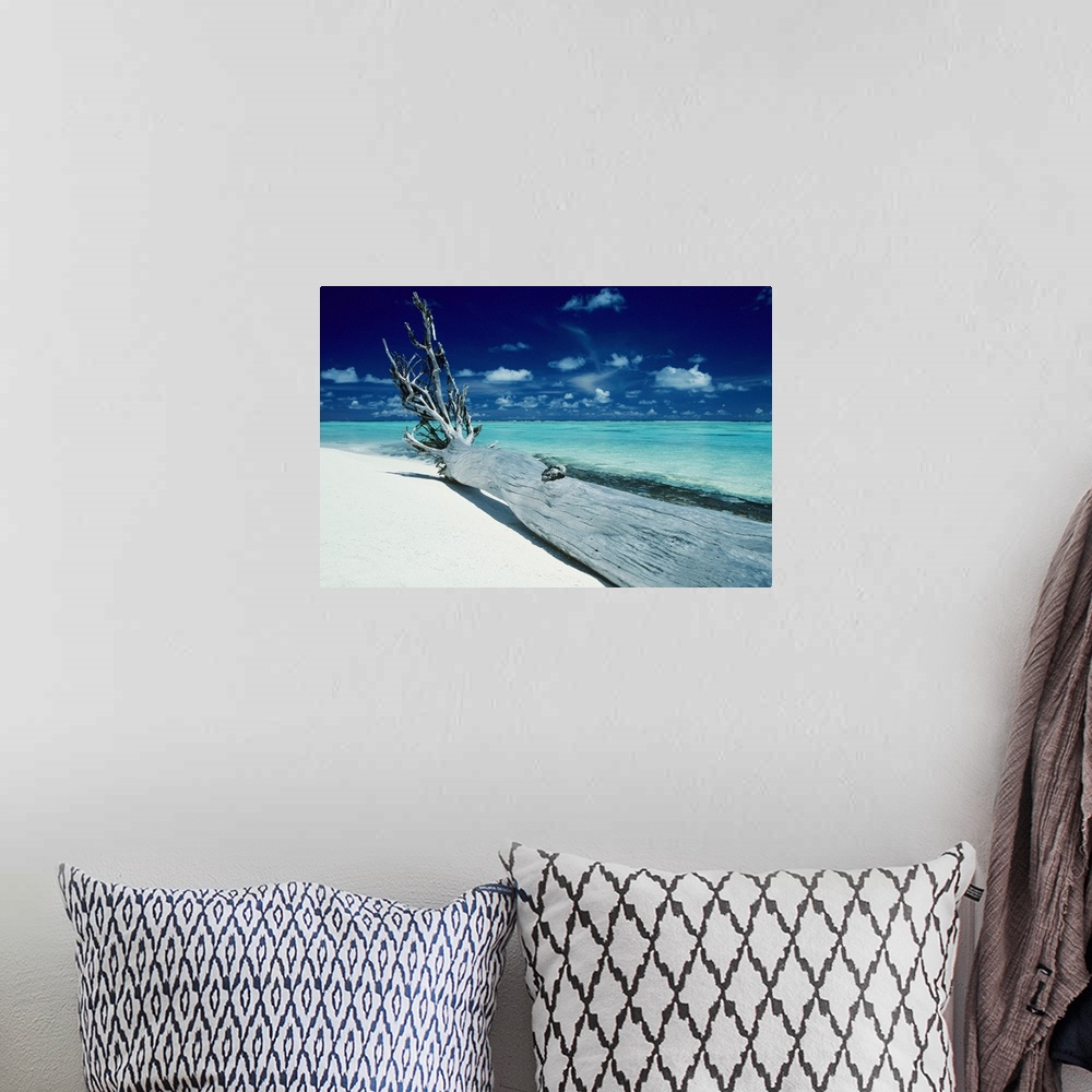 A bohemian room featuring French Polynesia, Tetiaroa (Marlon Brando's Island), Driftwood On White Sand Beach