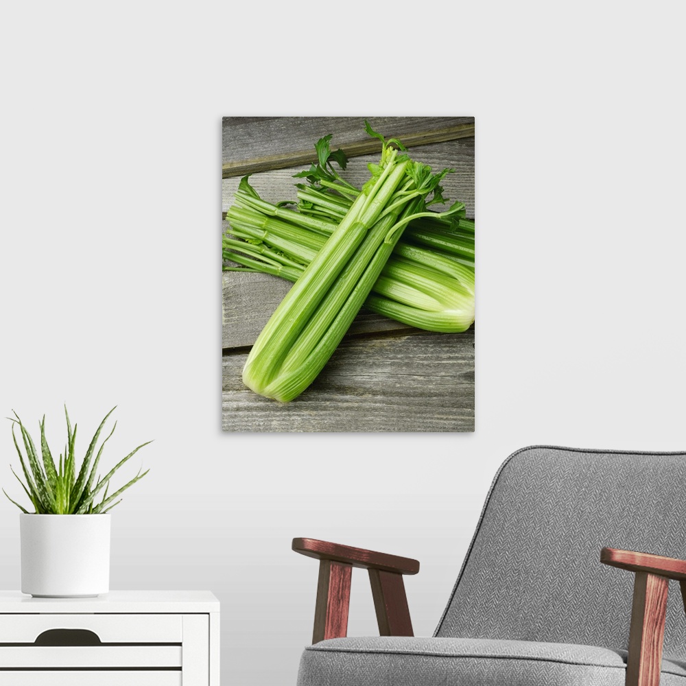 A modern room featuring Fresh heads of celery, on a barnwood surface