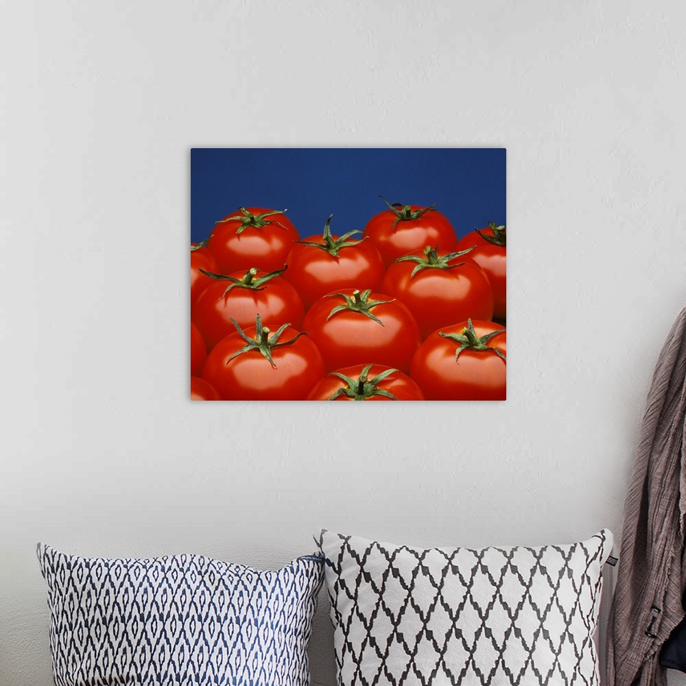 A bohemian room featuring Fresh market tomatoes