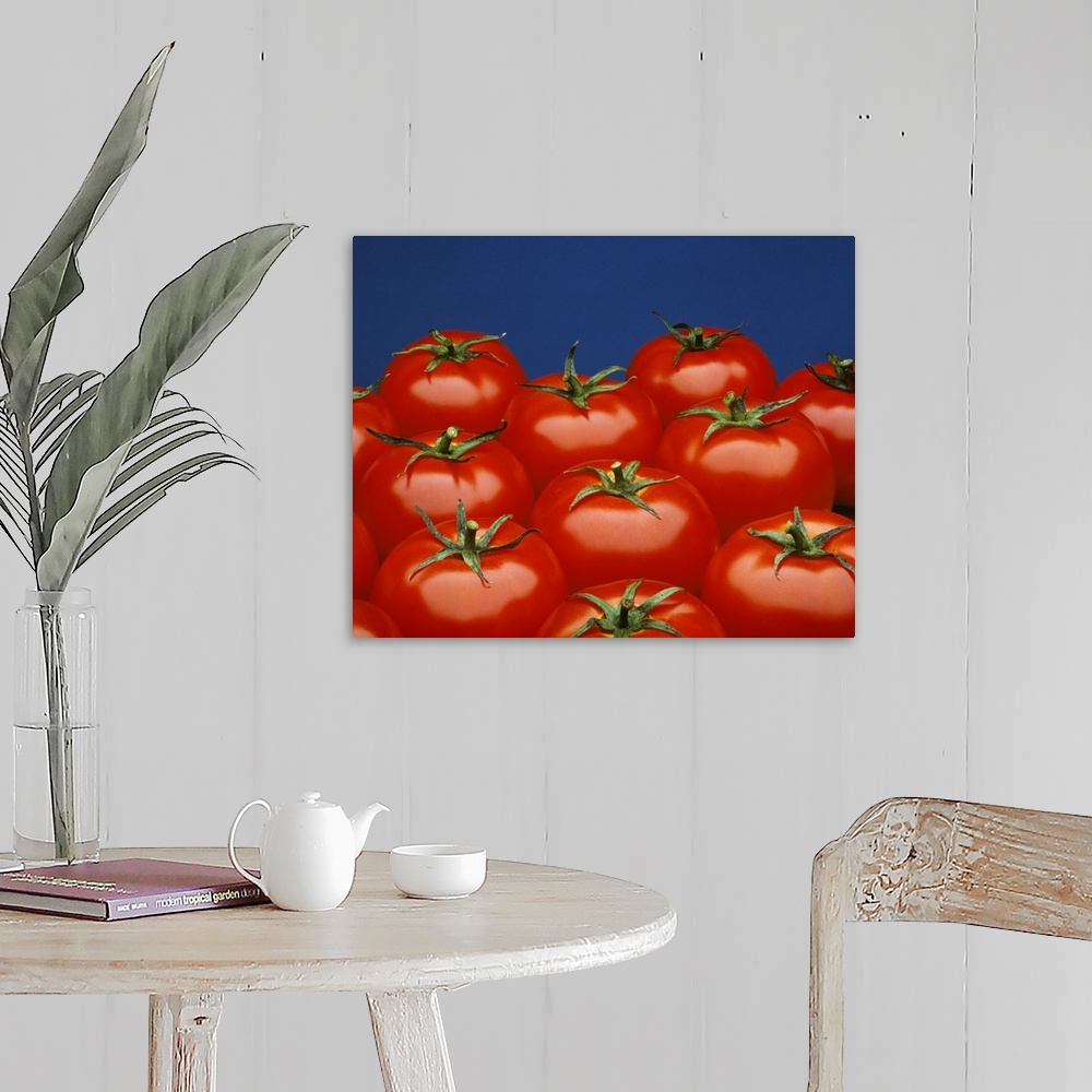 A farmhouse room featuring Fresh market tomatoes