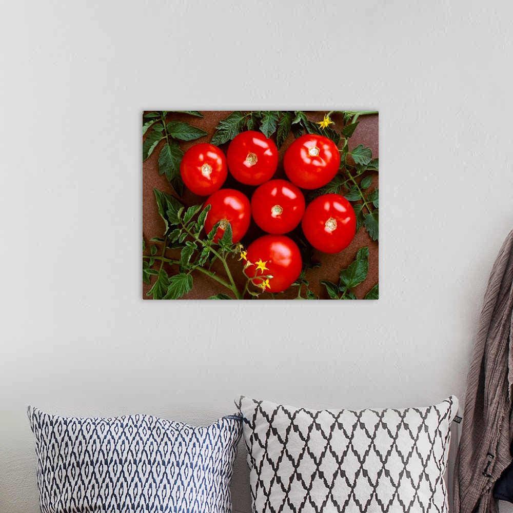 A bohemian room featuring Fresh market tomatoes on a dark brown background