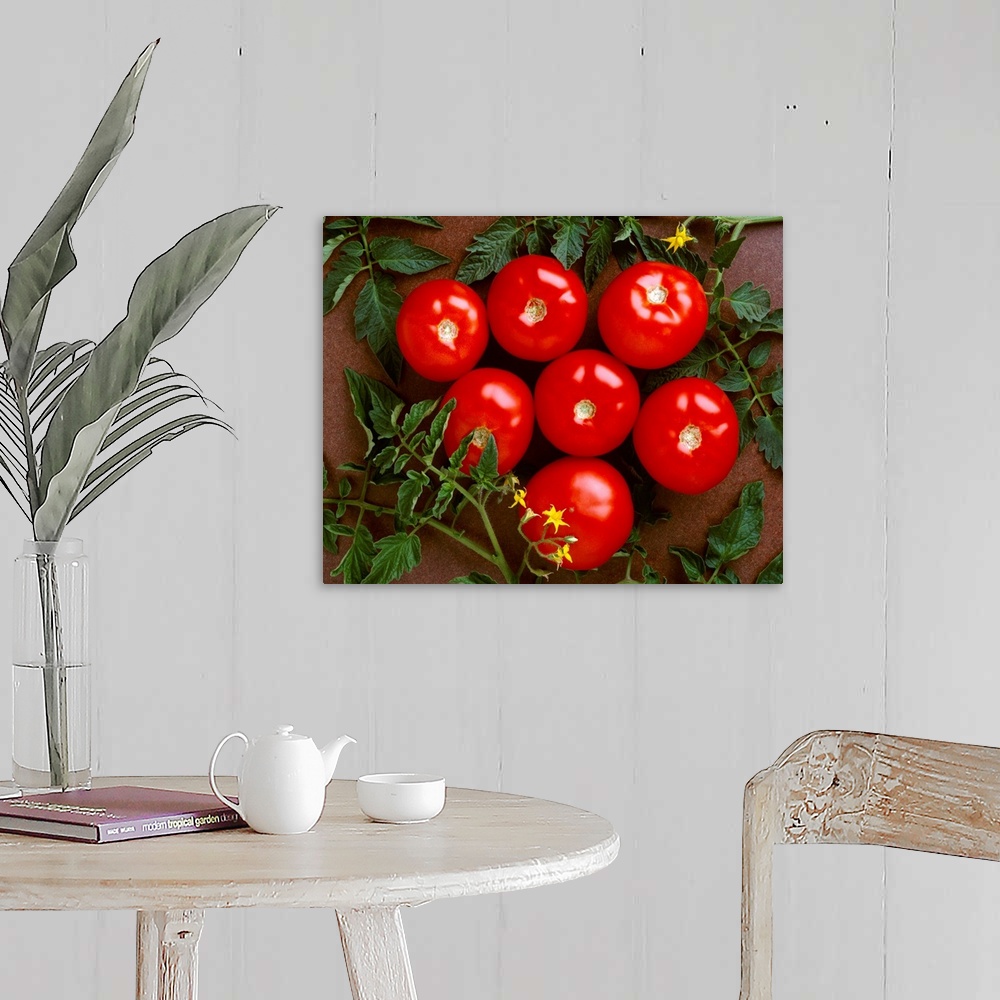 A farmhouse room featuring Fresh market tomatoes on a dark brown background