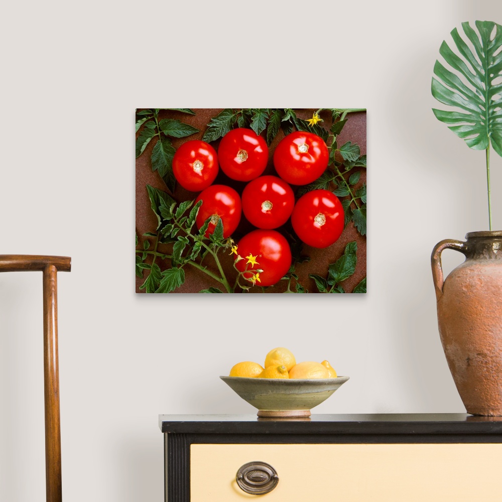 A traditional room featuring Fresh market tomatoes on a dark brown background