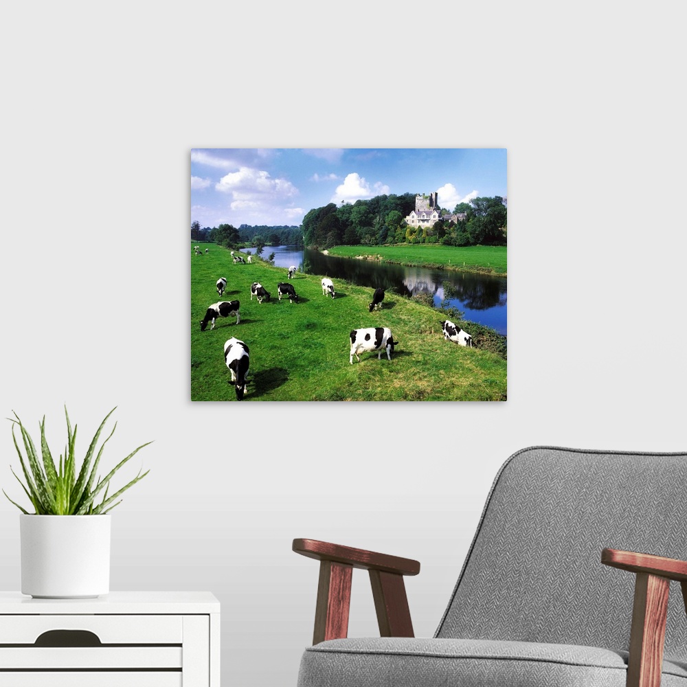 A modern room featuring Friesian Cattle, Ballyhooley, County Cork, Ireland