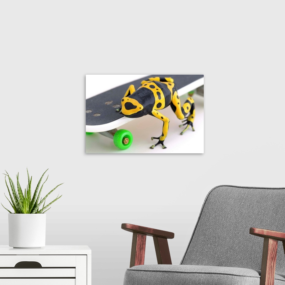 A modern room featuring Frog On A Skateboard