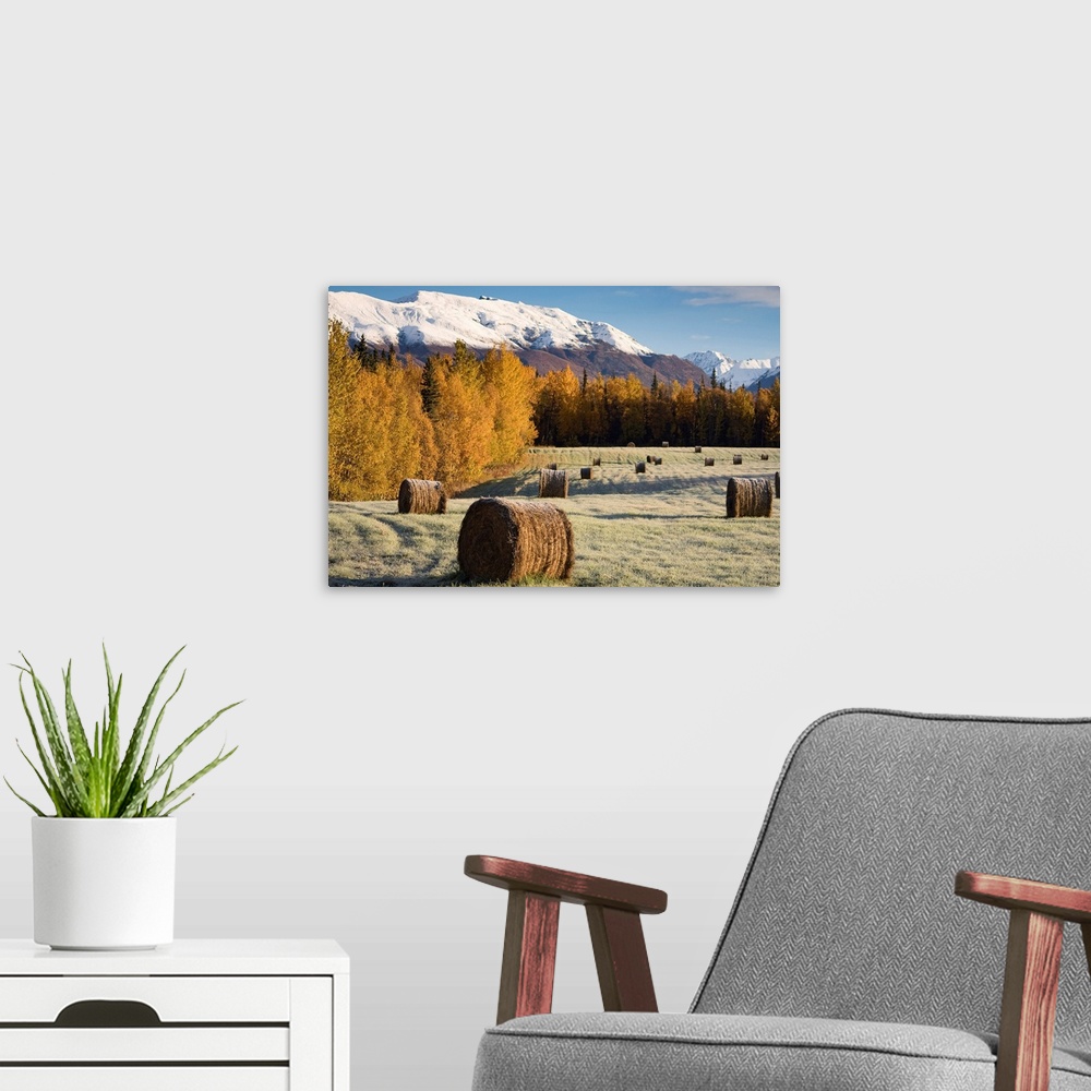 A modern room featuring Frost clings to bails of hay in a field near Palmer, Alaska on an early Autumn morning