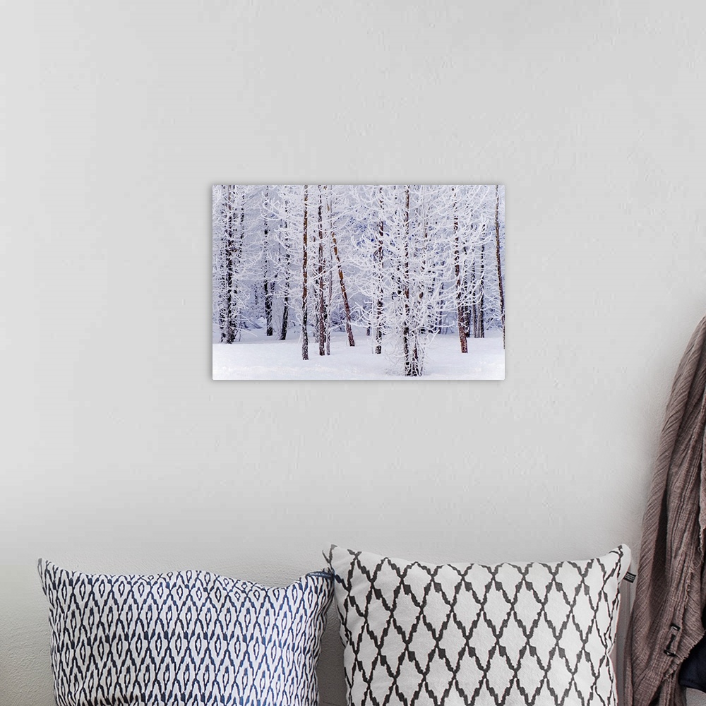 A bohemian room featuring Wall docor of a snowy forest of trees with thin trunks.