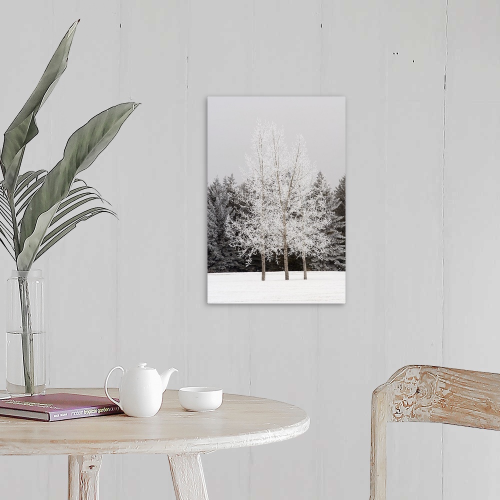 A farmhouse room featuring Frost On Trees