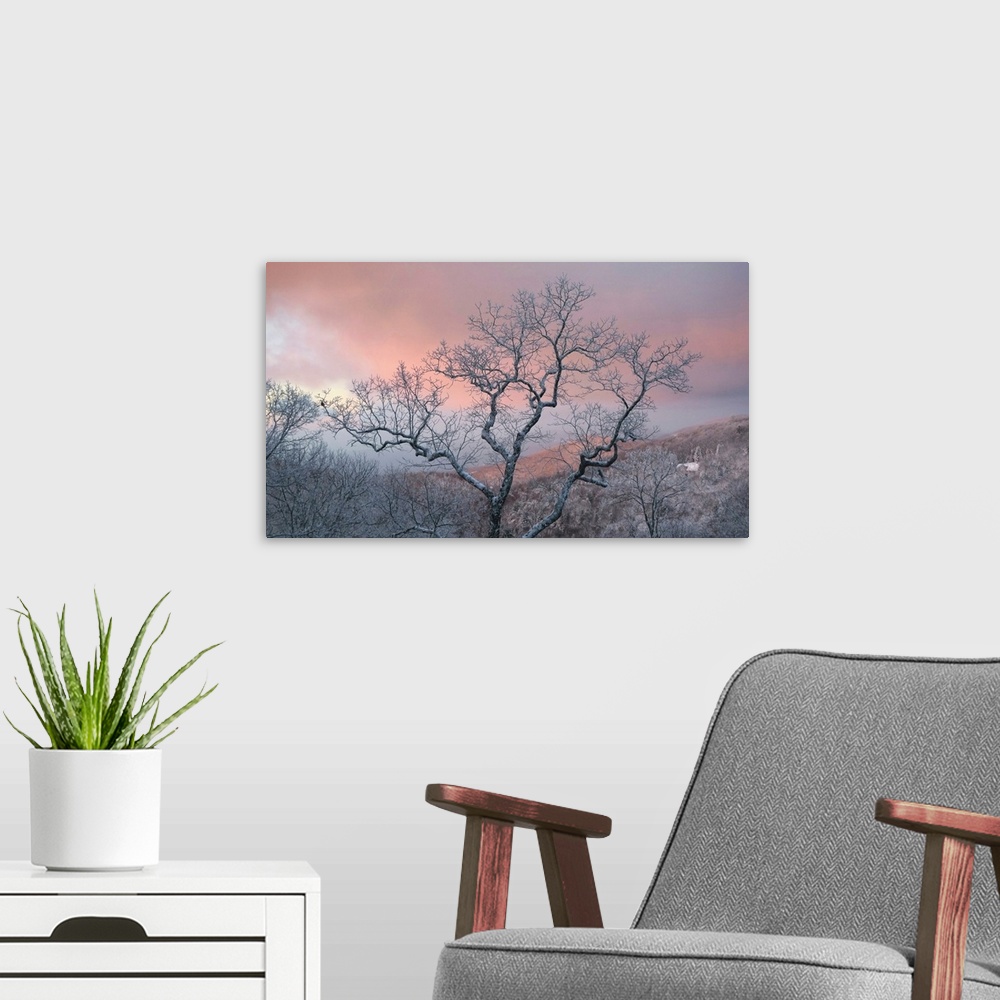 A modern room featuring Frosty tree under a pink sunrise sky