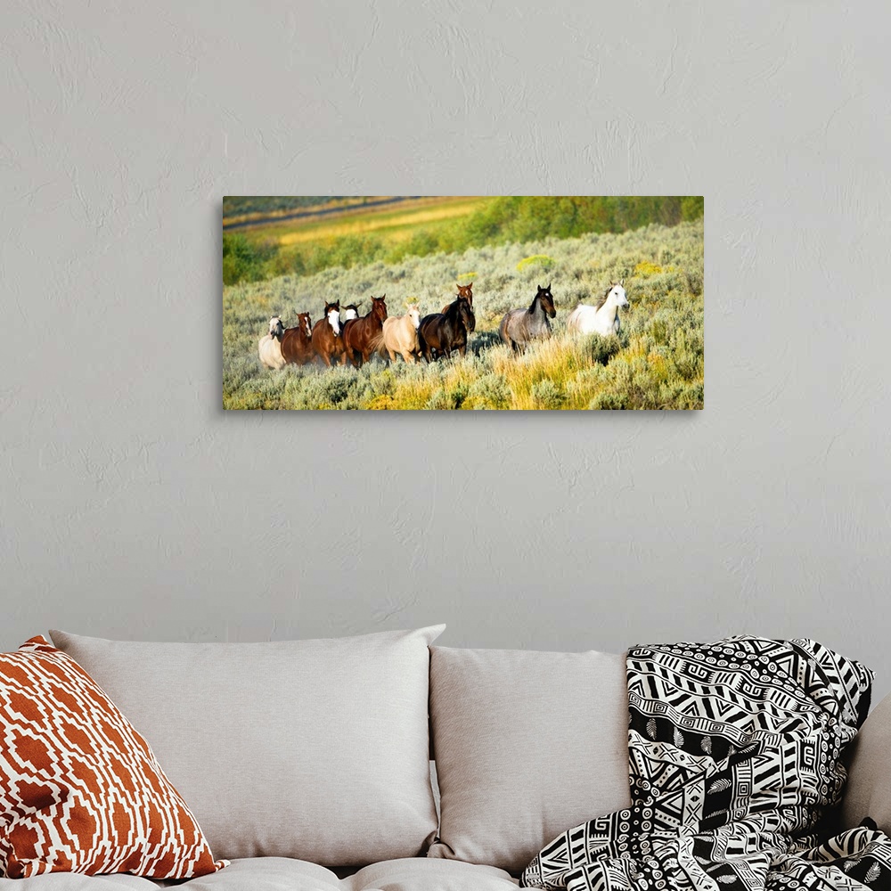 A bohemian room featuring Galloping Horses