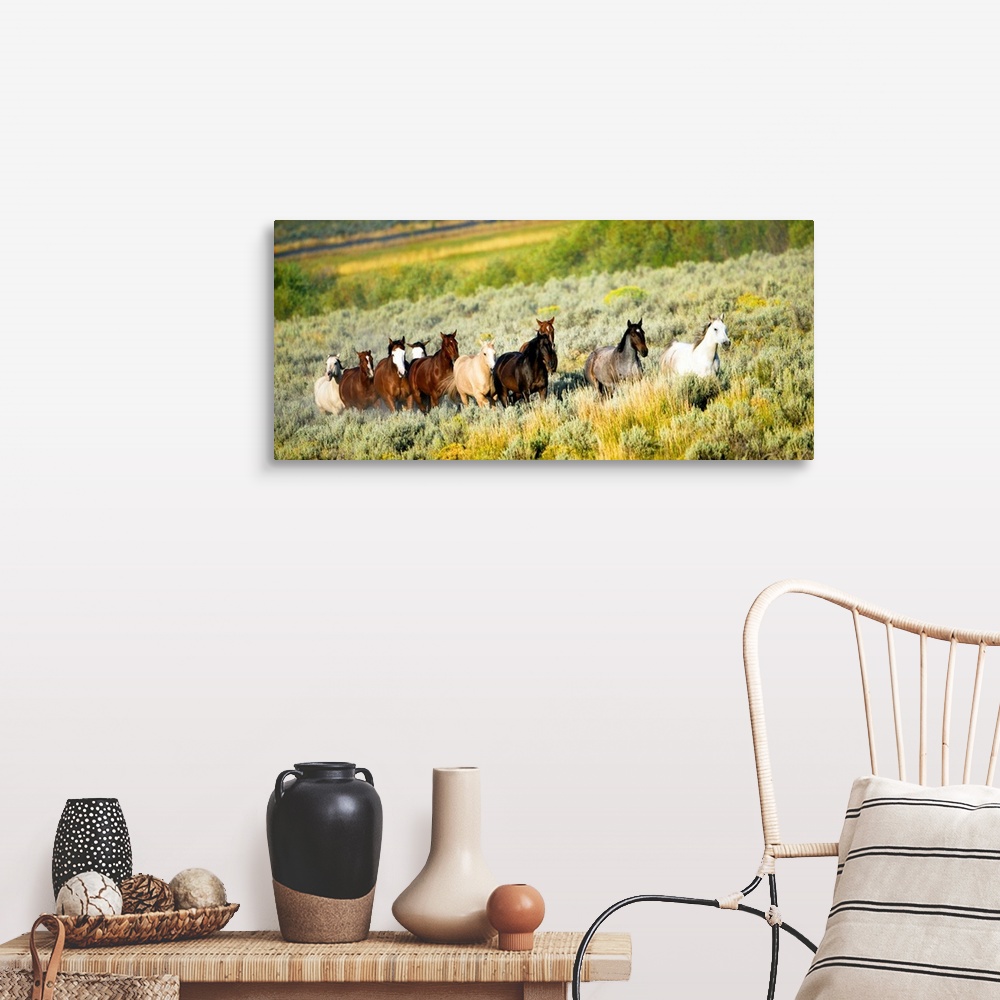 A farmhouse room featuring Galloping Horses