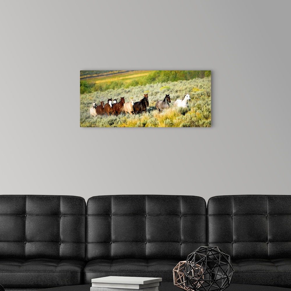 A modern room featuring Galloping Horses