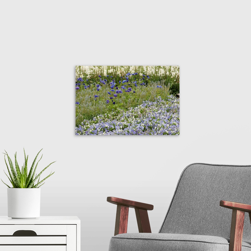 A modern room featuring Garden with purple and white flowers including anemones and pansies.