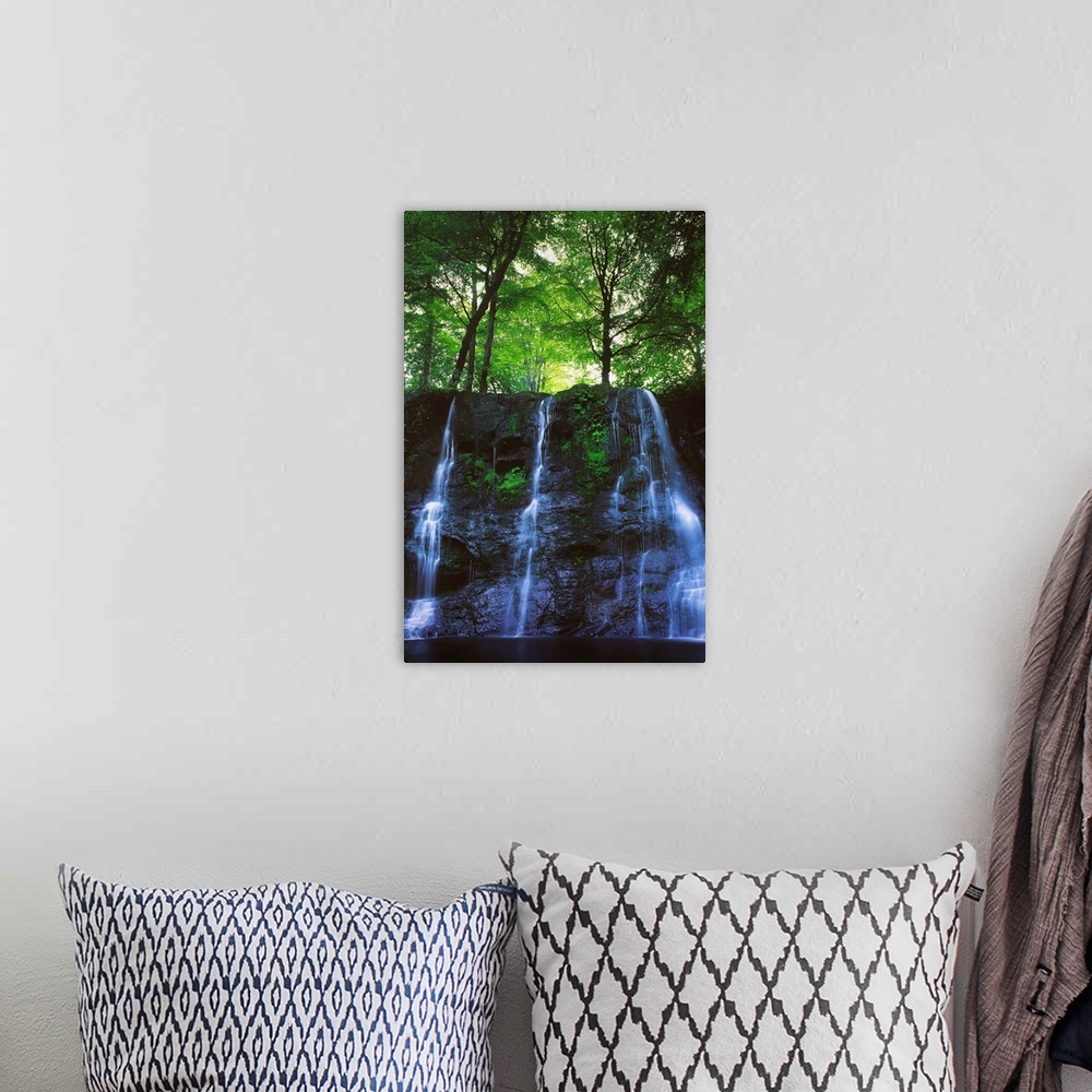 A bohemian room featuring Glenariff Waterfall, Co Antrim, Ireland; Waterfall With Trees Above