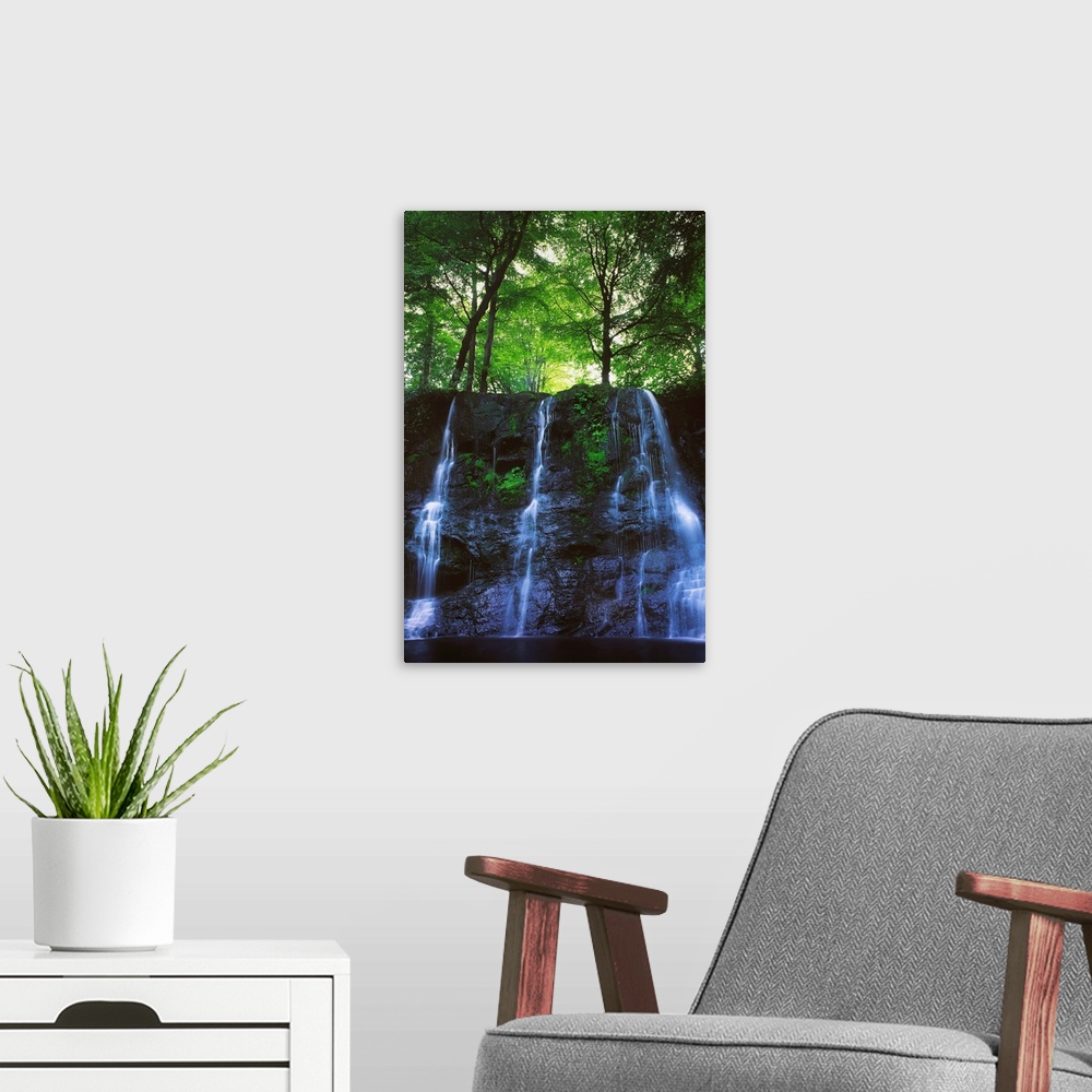 A modern room featuring Glenariff Waterfall, Co Antrim, Ireland; Waterfall With Trees Above