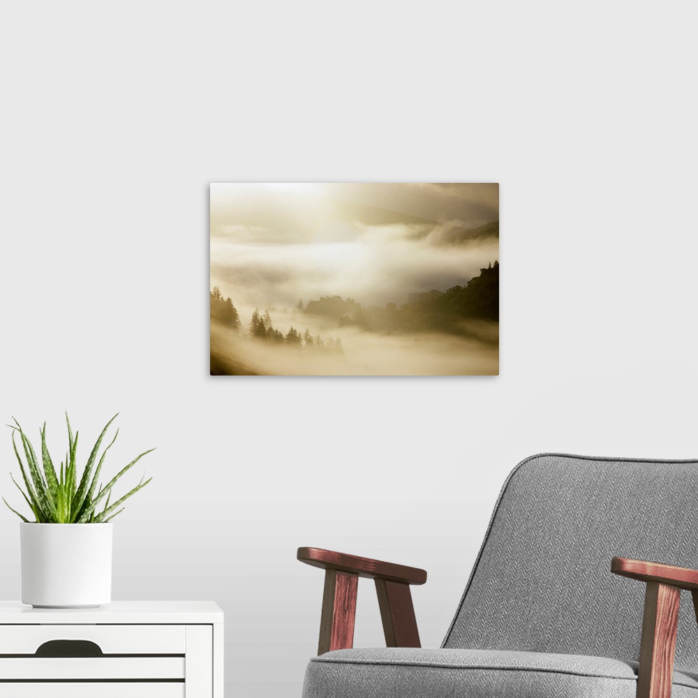 A modern room featuring Glendalough, Co Wicklow, Ireland, Mist