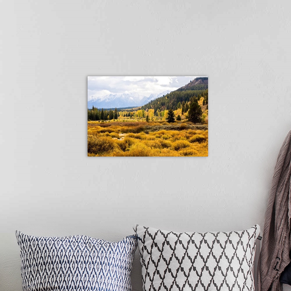 A bohemian room featuring Golden fall colors of shrubs and cottonwoods along Pacific Creek in Yellowstone National Park wit...