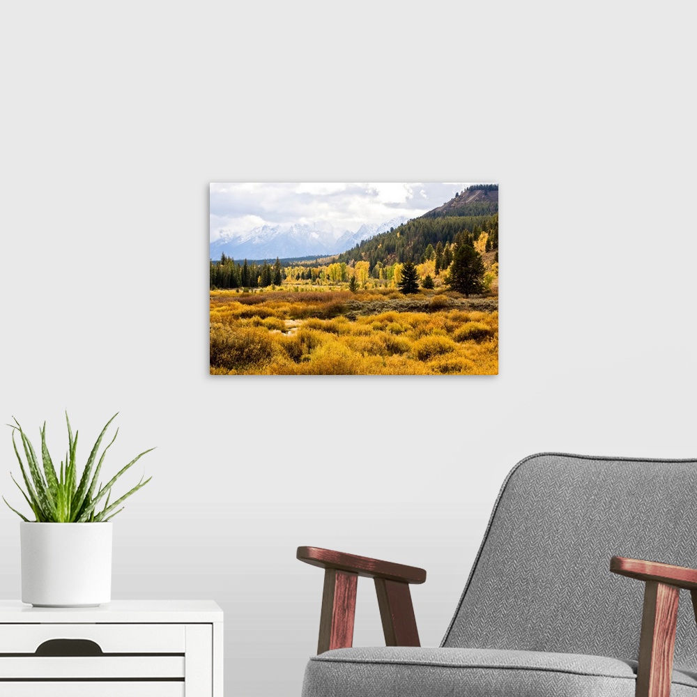 A modern room featuring Golden fall colors of shrubs and cottonwoods along Pacific Creek in Yellowstone National Park wit...