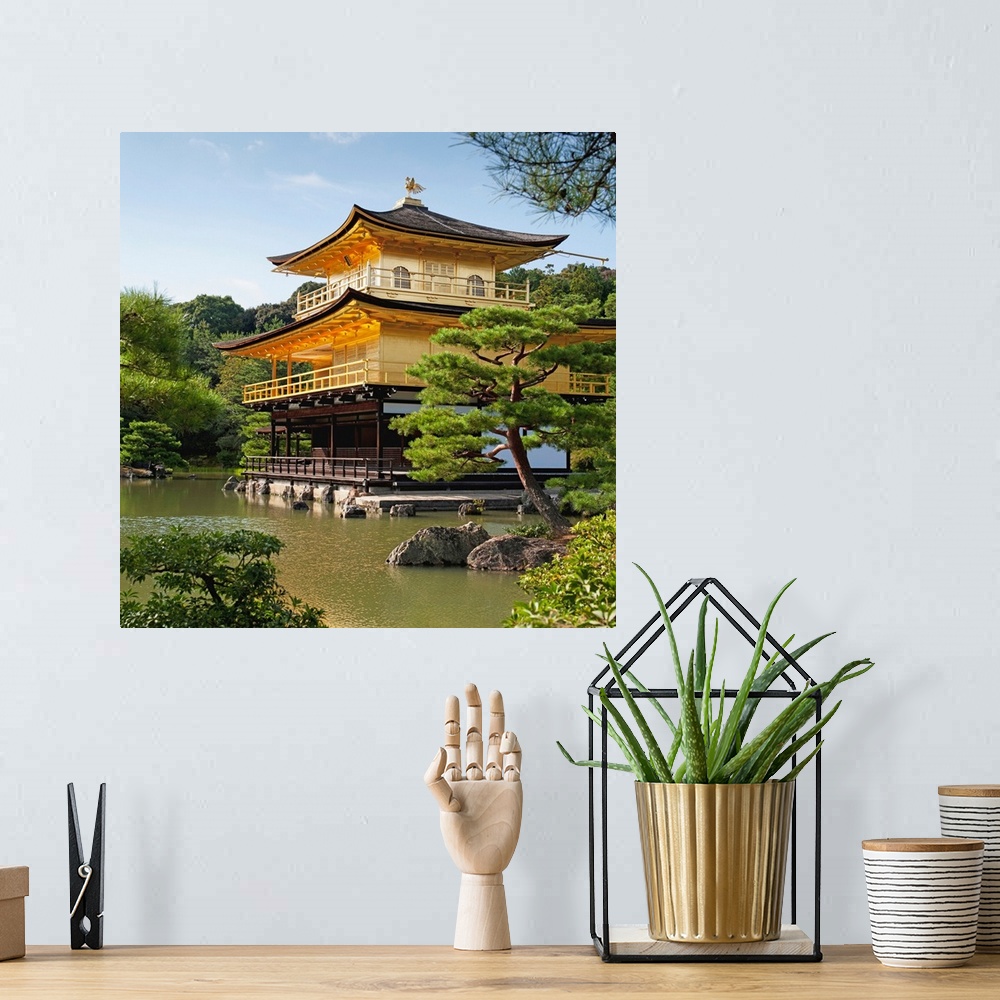 A bohemian room featuring Golden Pavilion, A Buddhist Temple; Kinkaku Ji, Kyoto, Japan