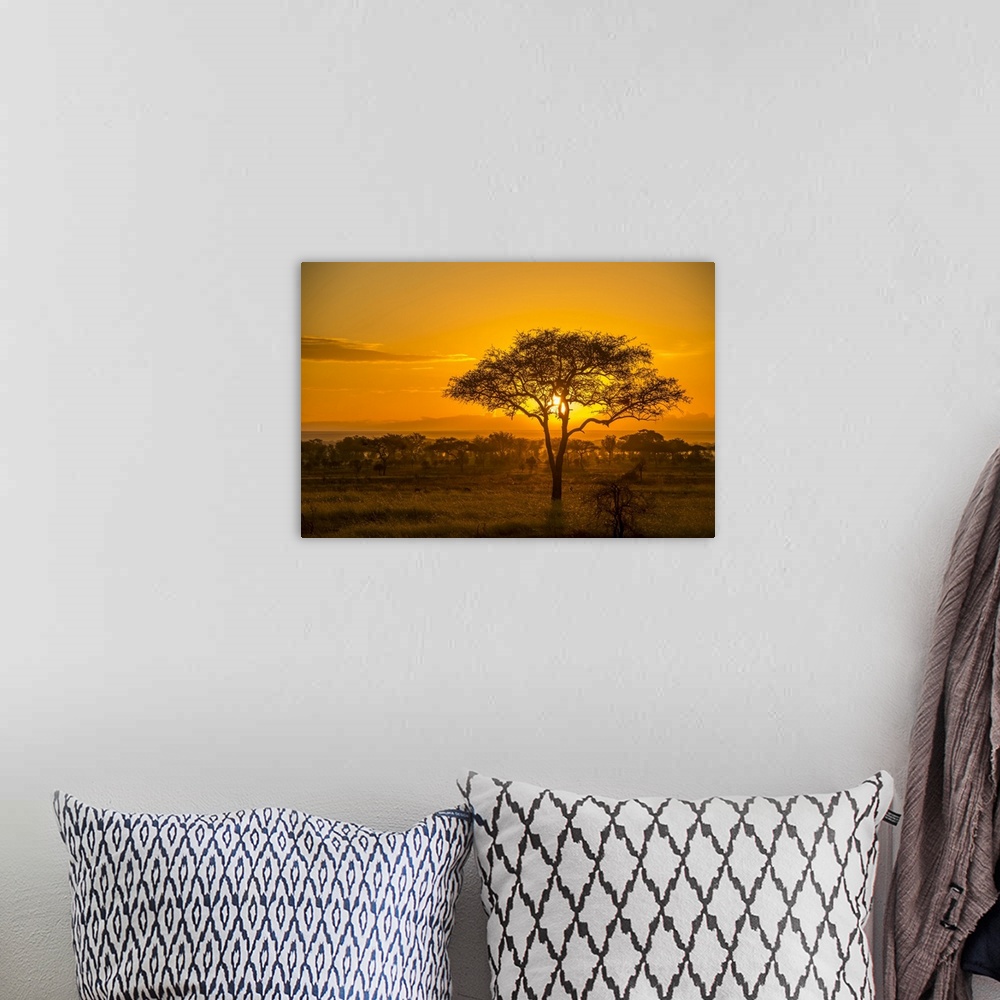 A bohemian room featuring Golden Sunset Over The Savanna In Serengeti National Park, Tanzania, Africa