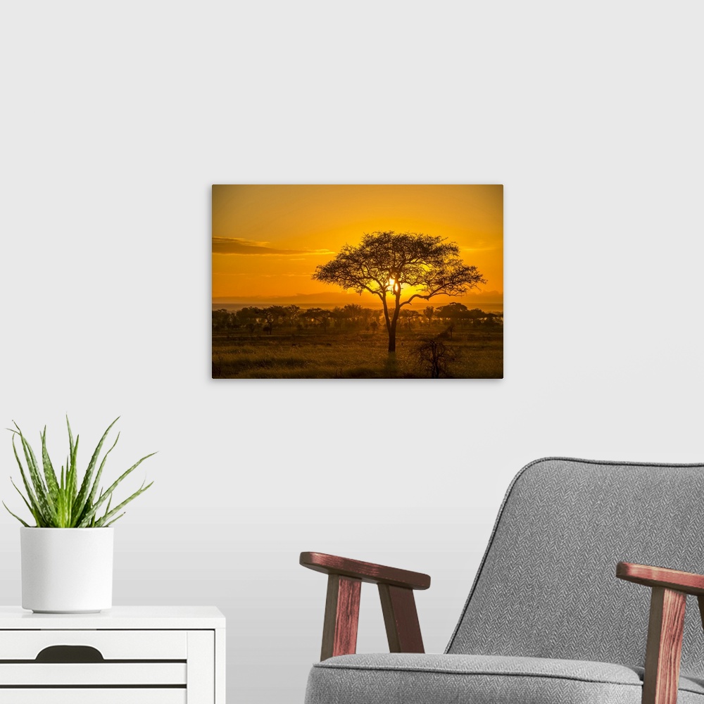 A modern room featuring Golden Sunset Over The Savanna In Serengeti National Park, Tanzania, Africa