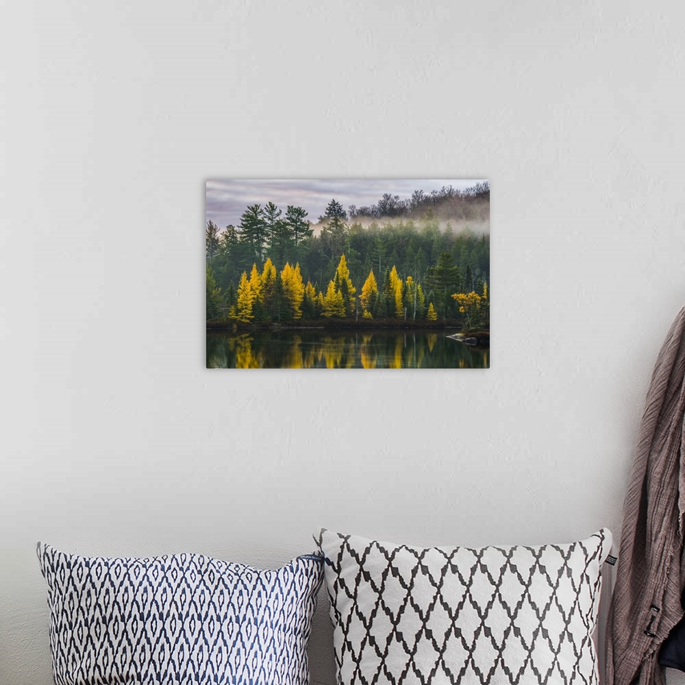 A bohemian room featuring Golden Tamaracks along the shoreline of a lake with fog over the forest in autumn; Ontario, Canada