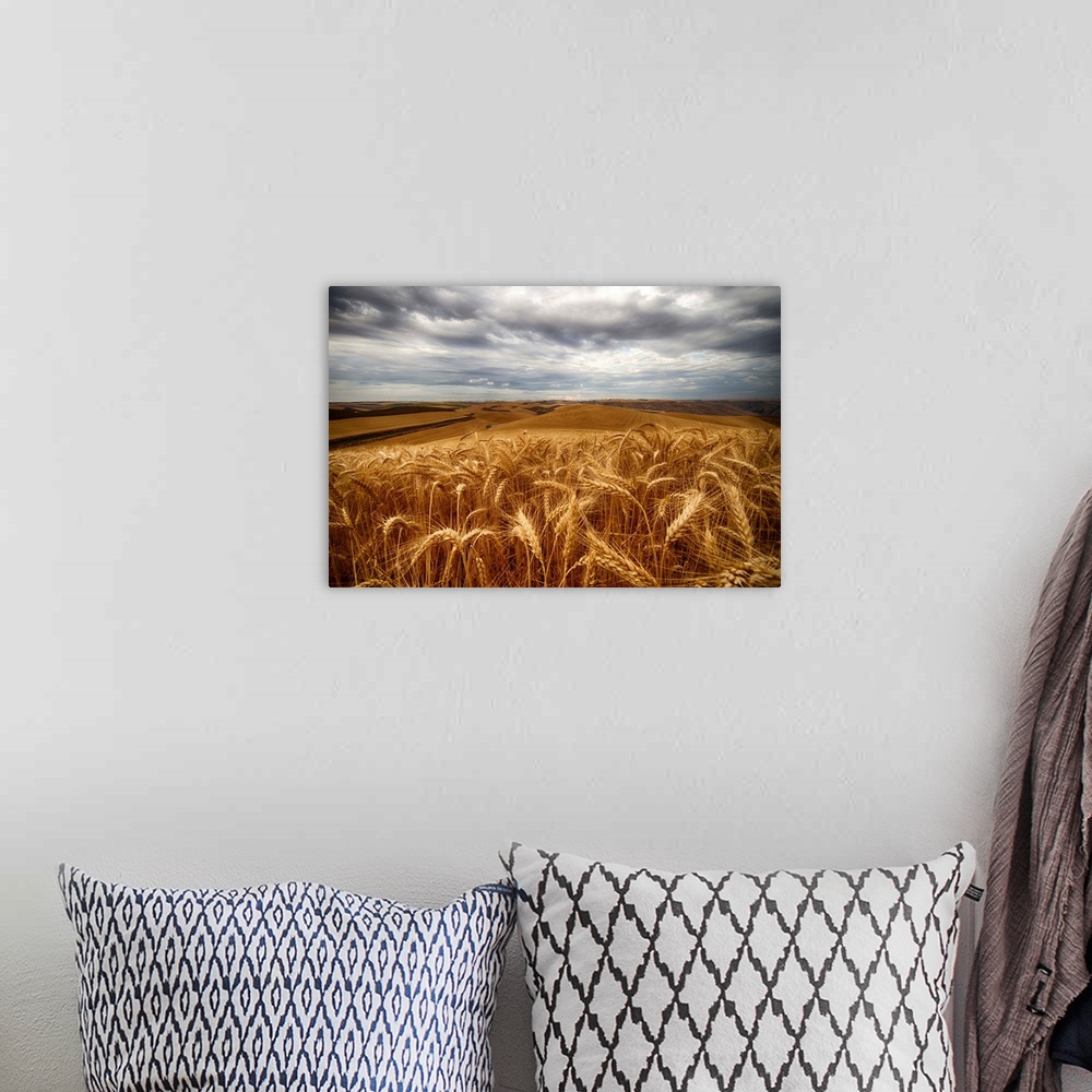 A bohemian room featuring Golden wheat fields under a cloudy sky, Palouse, Washington, United States of America.