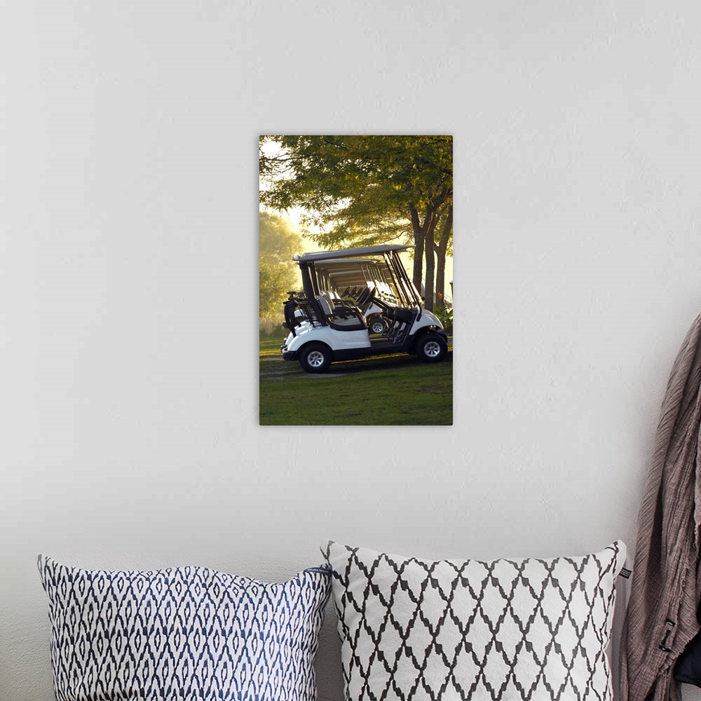 A bohemian room featuring Golf Carts In Early Morning At A Golf Club, Newmarket, Ontario, Canada