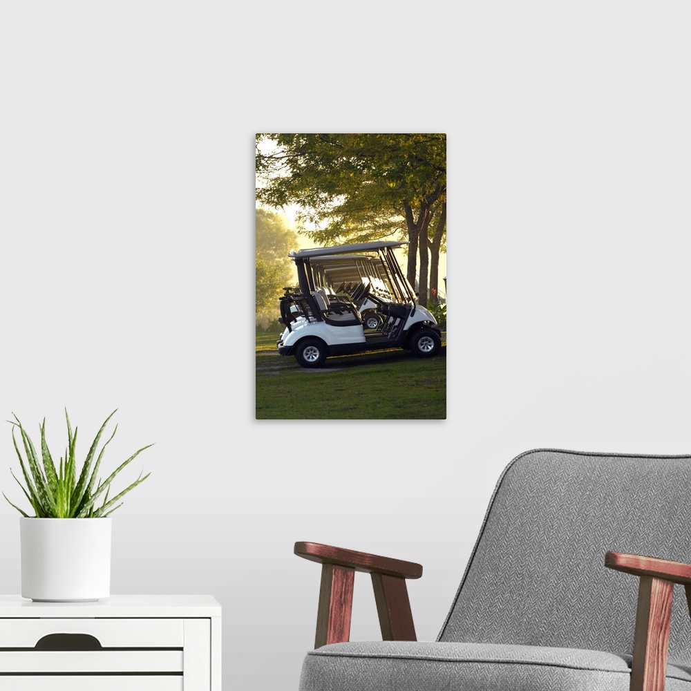 A modern room featuring Golf Carts In Early Morning At A Golf Club, Newmarket, Ontario, Canada