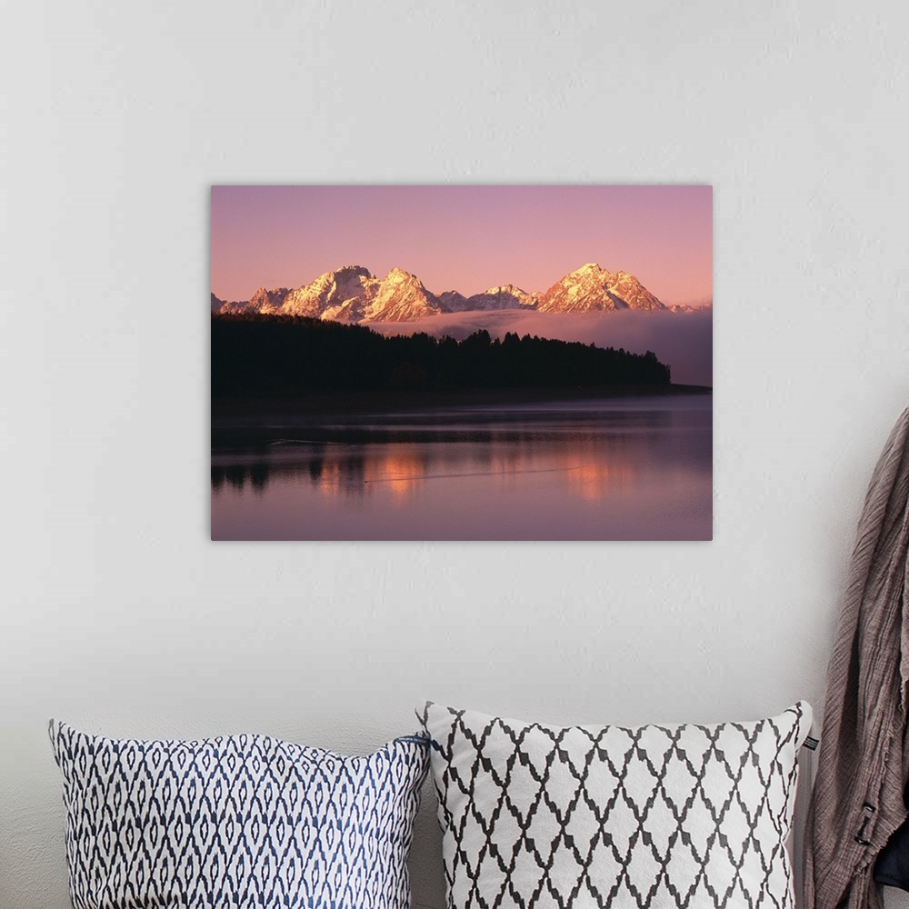 A bohemian room featuring Grand Teton Mountains With Silhouetted Aspen Trees At Sunrise, WY, USA