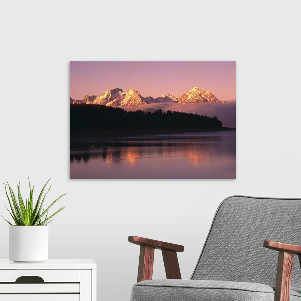 A modern room featuring Grand Teton Mountains With Silhouetted Aspen Trees At Sunrise, WY, USA