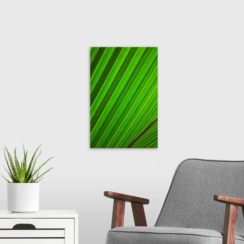 A modern room featuring Graphic Detail Of Coconut Palm Leaf