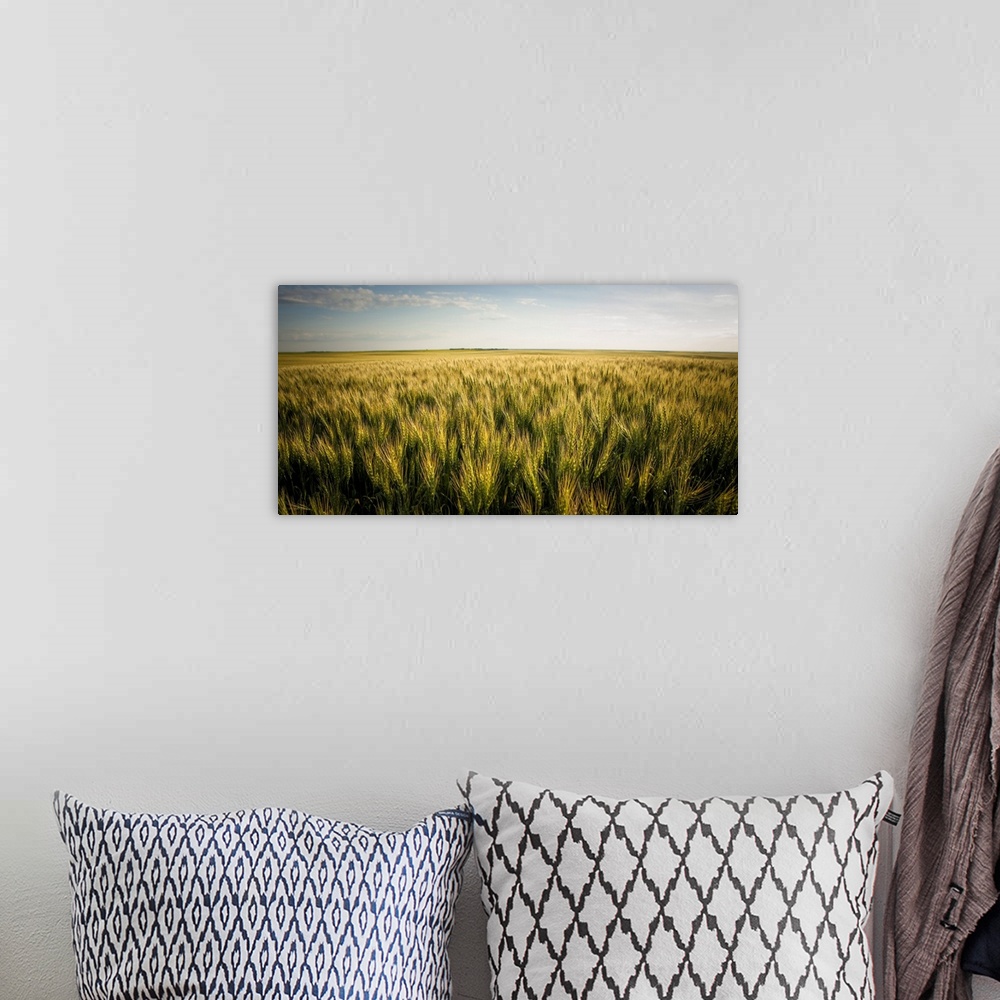 A bohemian room featuring View Over A Green And Golden Wheat Field; Saskatchewan, Canada