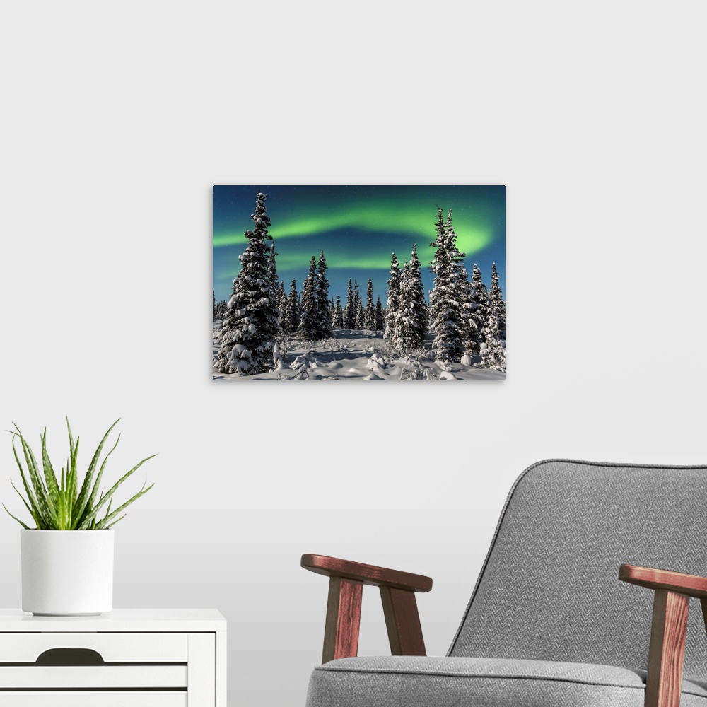 A modern room featuring Green Aurora Borealis dances over the tops of snow covered black spruce trees, moonlight casting ...