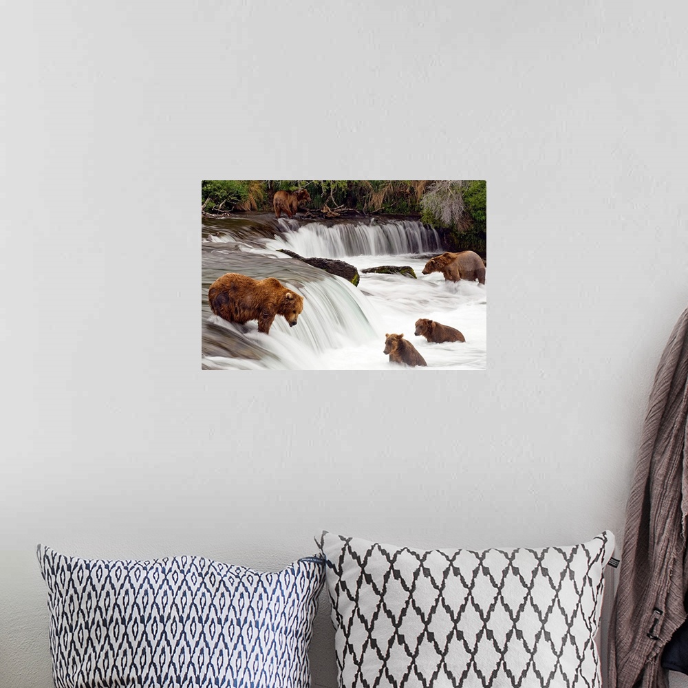 A bohemian room featuring Big canvas print of brown bears trying to catch fish near a small waterfall in the forest.