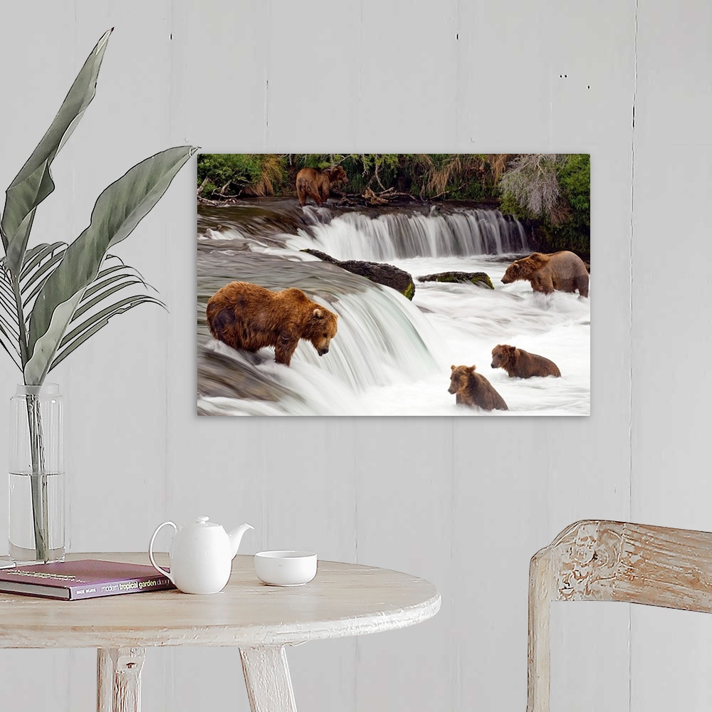 A farmhouse room featuring Big canvas print of brown bears trying to catch fish near a small waterfall in the forest.