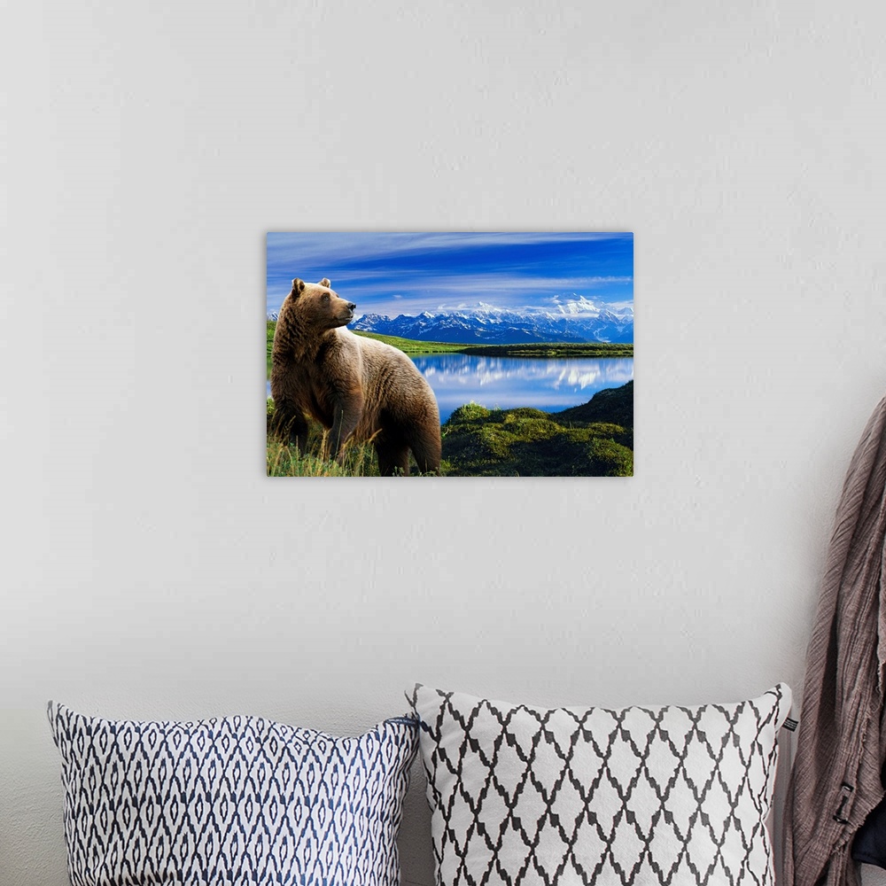 A bohemian room featuring Photograph showcases a large brown bear standing in front of a lake that is reflecting the snow c...