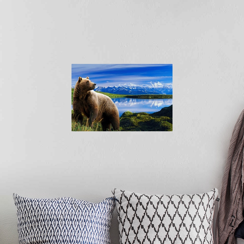 A bohemian room featuring Photograph showcases a large brown bear standing in front of a lake that is reflecting the snow c...