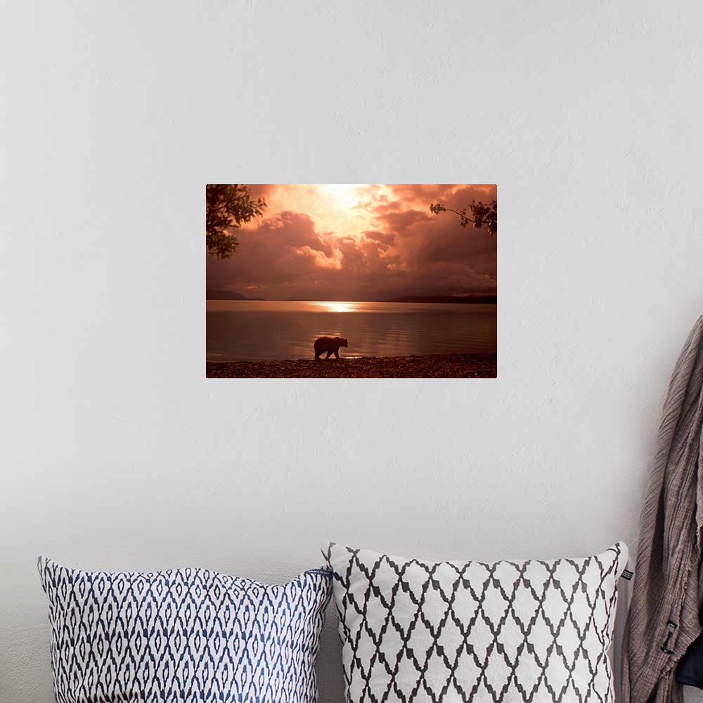 A bohemian room featuring Big photo on canvas of a bear walking along a water front.