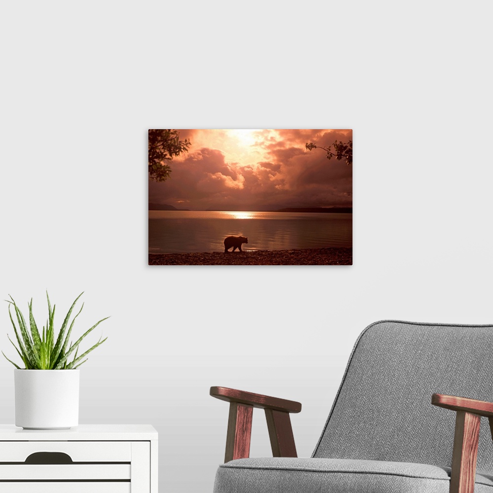 A modern room featuring Big photo on canvas of a bear walking along a water front.