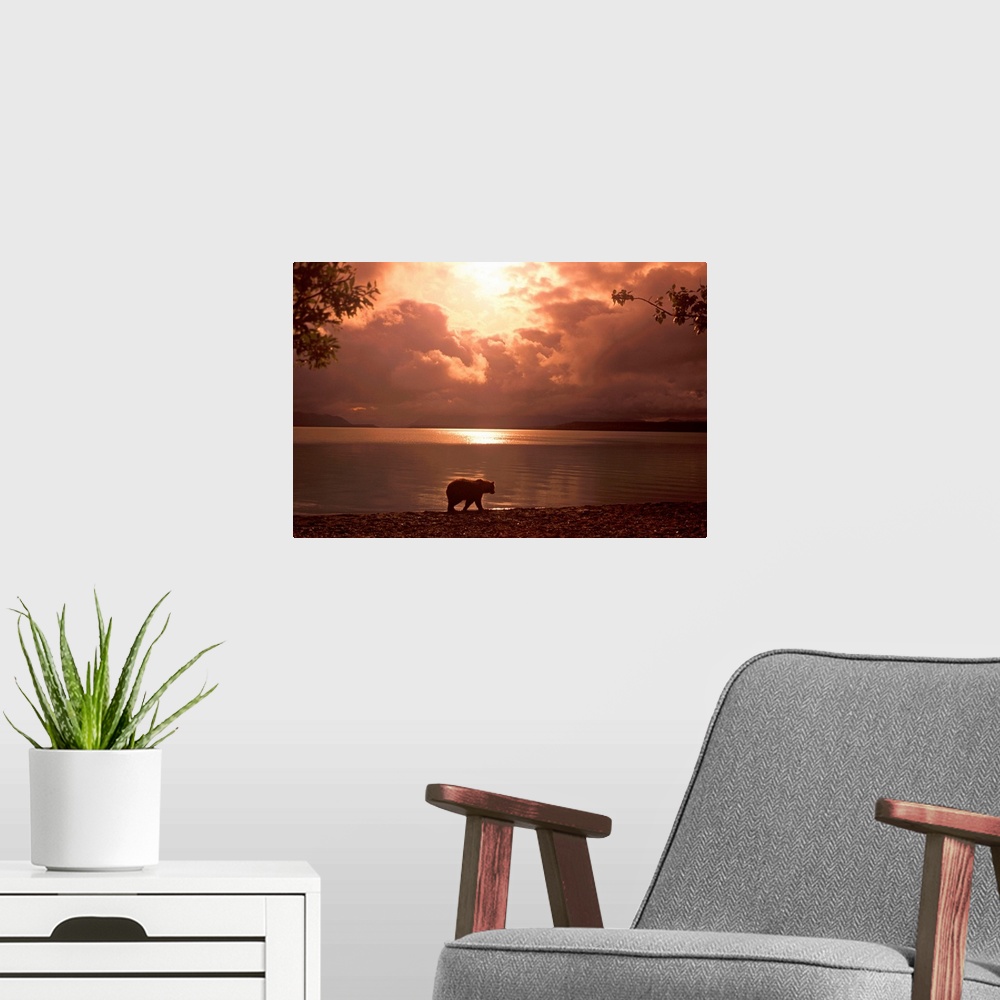 A modern room featuring Big photo on canvas of a bear walking along a water front.