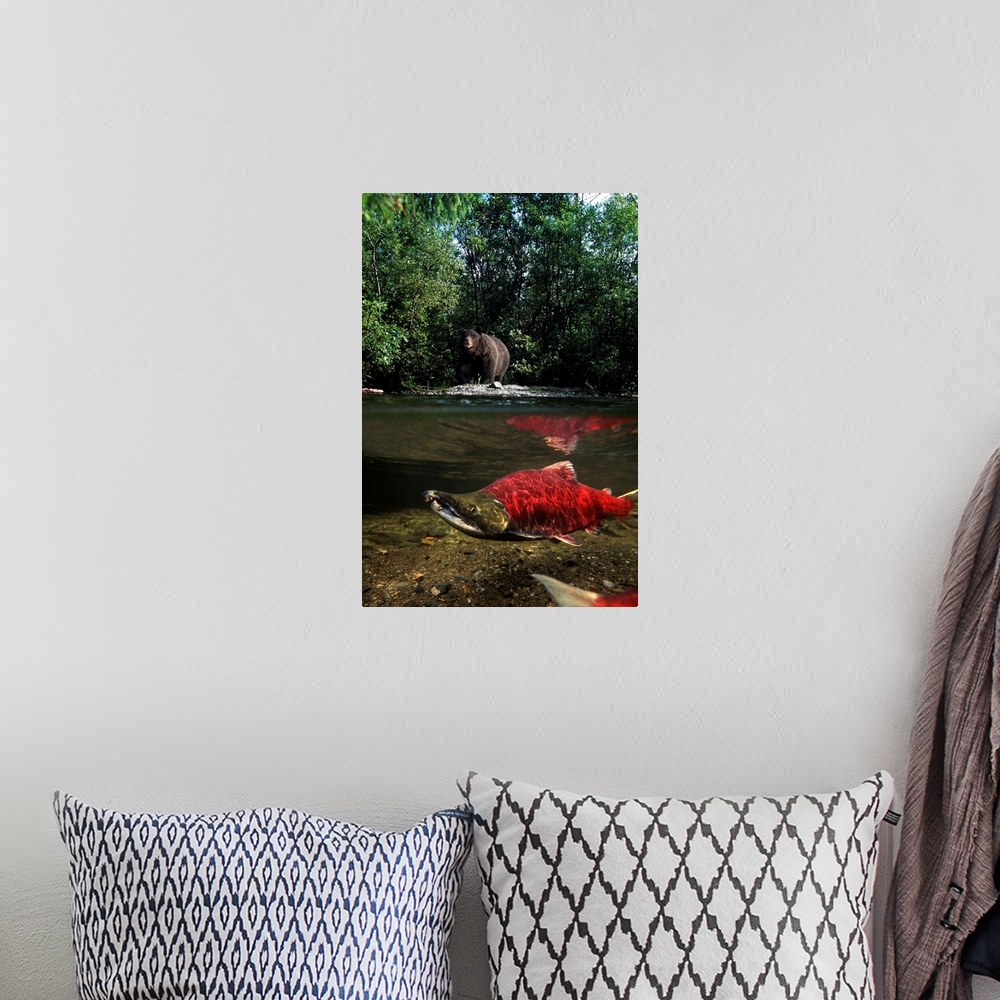 A bohemian room featuring Grizzly Watches Salmon from Riverbank