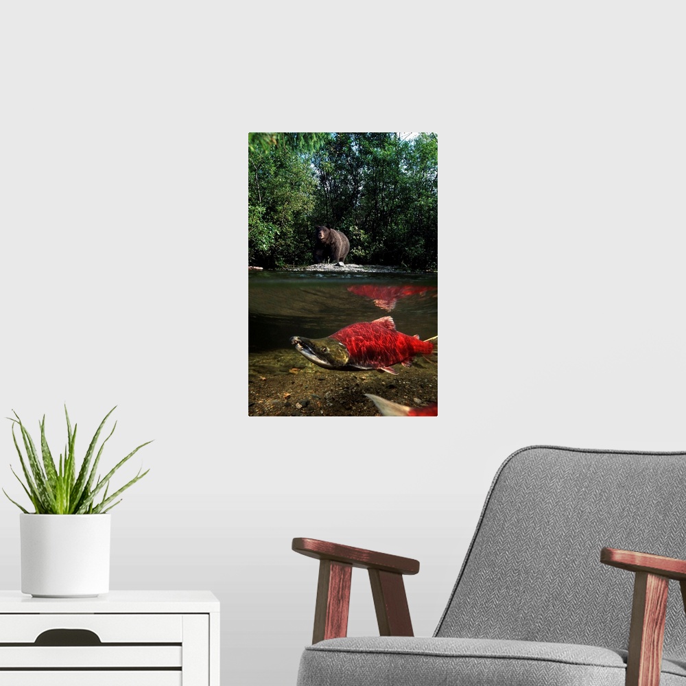 A modern room featuring Grizzly Watches Salmon from Riverbank