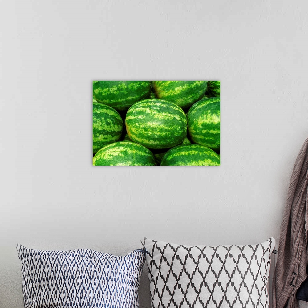 A bohemian room featuring Harvested mature seedless watermelons ready for shipping, Missouri