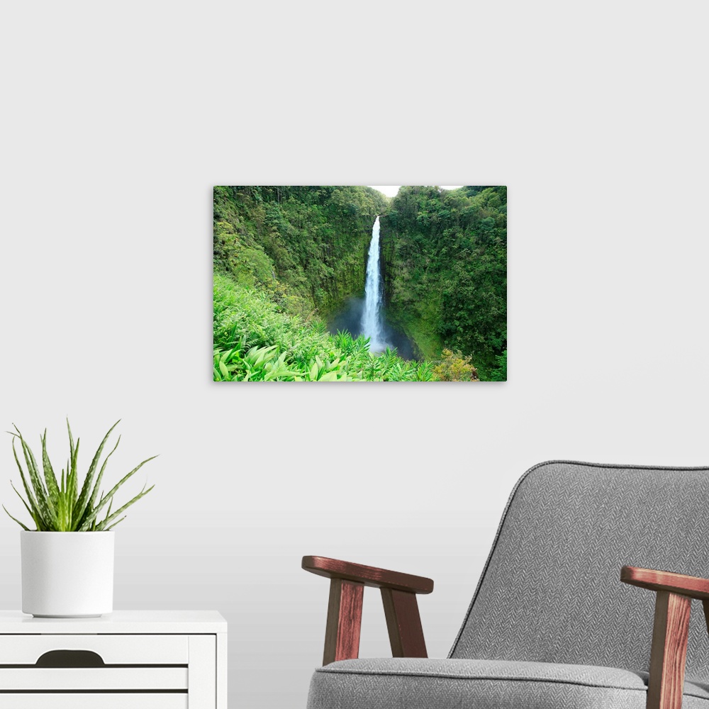 A modern room featuring Hawaii, Big Island, Akaka Falls State Park, View Of Misty Falls