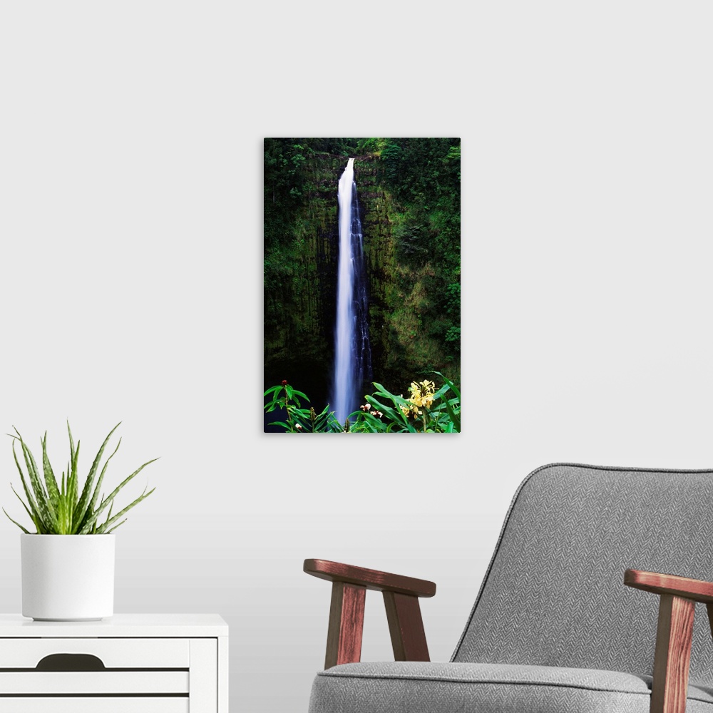 A modern room featuring Hawaii, Big Island, Akaka Falls, Tropical Flowers Blooming In Foreground