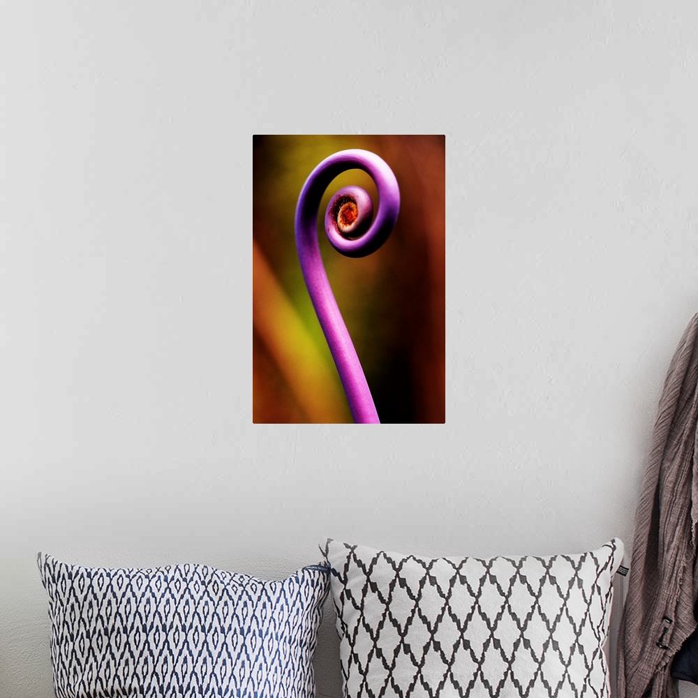 A bohemian room featuring A purple stem is photographed very closely with the background pictured out of focus.